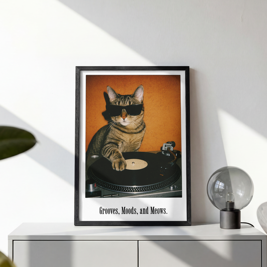 Framed poster of a cat on a turntable with sunglasses, placed on a white surface.